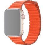 Купить Ремешок InnoZone Для Apple Watch 1-5 38/40 mm - Orange(APWTMA38-13) в МВИДЕО