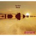 Купить MP3-диск Медиа Bush K.:Aerial 2CD в МВИДЕО