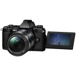 Купить Фотоаппарат системный Olympus OM-D E-M5 Mark II 14-150 Kit Black в МВИДЕО