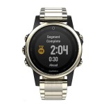 Спортивные часы Garmin Fenix 5S Sapphire Ch/Metal Band GPS(010-01685-15)