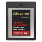 Карта памяти CompactFlash SanDisk 256GB Extreme PRO CFexpress B (SDCFE-256G-GN4NN)