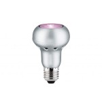 Лампа LED Paulmann Special R63 6W E27 Rosè 28185