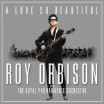 Виниловая пластинка Legacy Roy Orbison: A Love So Beautiful