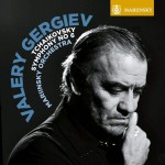 Виниловая пластинка Naxos Valery Gergiev: Symphony No. 6