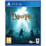 PS4 игра Inxile Entertainment The Bard s Tale IV Director s Cut