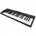 Купить MIDI клавиатура IK Multimedia iRig Keys 2 в МВИДЕО