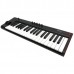 Купить MIDI клавиатура IK Multimedia iRig Keys 2 Pro в МВИДЕО