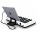 Купить MIDI клавиатура IK Multimedia iRig Keys I/O в МВИДЕО