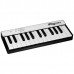 Купить MIDI клавиатура IK Multimedia iRig Keys Mini в МВИДЕО