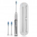 Купить Электрическая зубная щетка Dentalpik Pro 300 в МВИДЕО